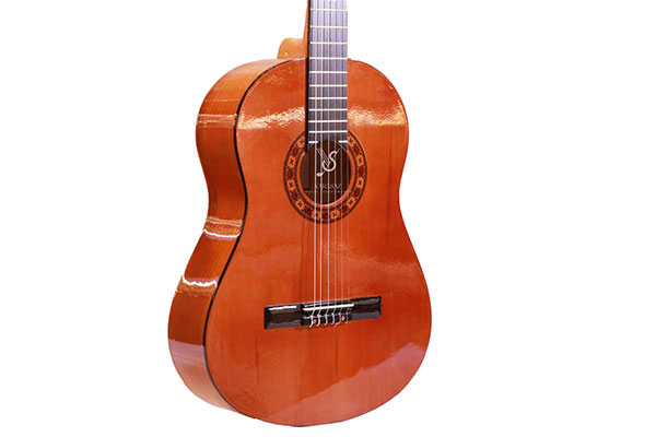 تصویر گیتار ابنی کد g4 